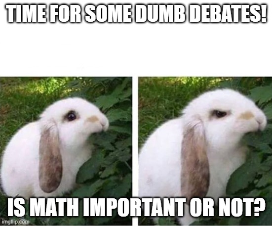 angry rabbit | TIME FOR SOME DUMB DEBATES! IS MATH IMPORTANT OR NOT? | image tagged in angry rabbit | made w/ Imgflip meme maker