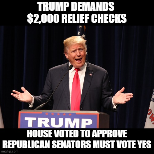 Call Your Senator and Demand a YES Vote for $2,000 COVID Relief Checks! | TRUMP DEMANDS 
$2,000 RELIEF CHECKS; HOUSE VOTED TO APPROVE
REPUBLICAN SENATORS MUST VOTE YES | image tagged in relief checks,stimulus,republican senators,senate,covid relief bill | made w/ Imgflip meme maker