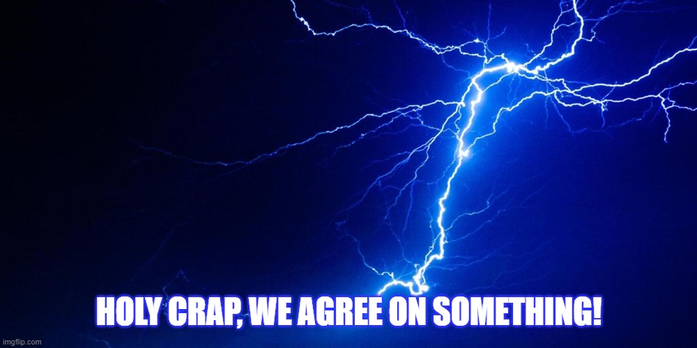 Lightning Strikes | HOLY CRAP, WE AGREE ON SOMETHING! | image tagged in lightning strikes | made w/ Imgflip meme maker