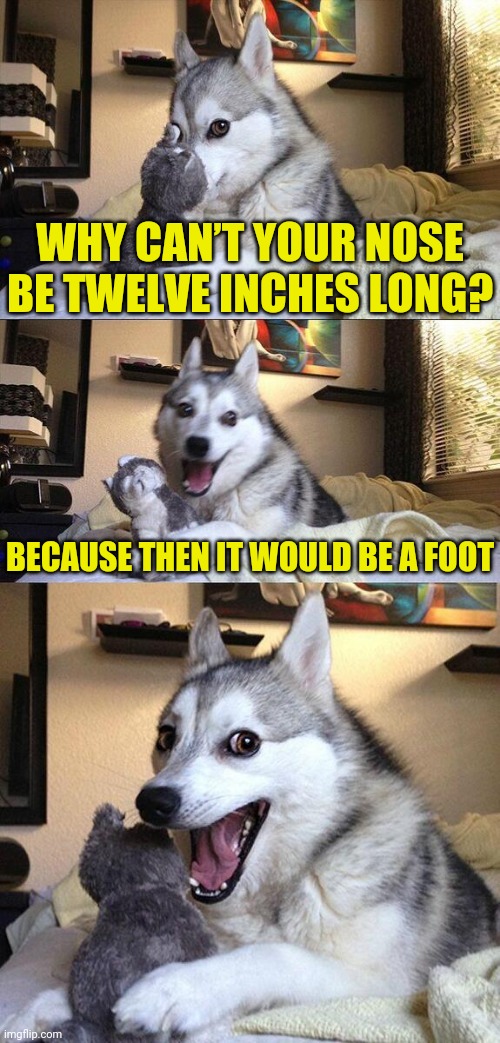 Bad Pun Dog Meme | WHY CAN’T YOUR NOSE BE TWELVE INCHES LONG? BECAUSE THEN IT WOULD BE A FOOT | image tagged in memes,bad pun dog | made w/ Imgflip meme maker