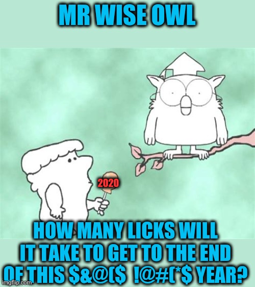 MR WISE OWL HOW MANY LICKS WILL IT TAKE TO GET TO THE END OF THIS $&@($  !@#(*$ YEAR? 2020 | made w/ Imgflip meme maker