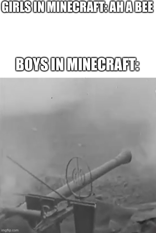 Minecraft/nazi meme | GIRLS IN MINECRAFT: AH A BEE; BOYS IN MINECRAFT: | image tagged in nazi,minecraft | made w/ Imgflip meme maker