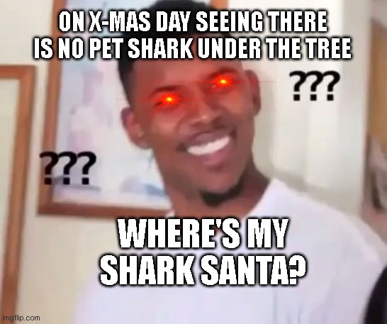 Santa answer me! | ON X-MAS DAY SEEING THERE IS NO PET SHARK UNDER THE TREE; WHERE'S MY SHARK SANTA? | image tagged in swaggy p confused | made w/ Imgflip meme maker
