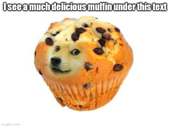 Hehehe Idk | I see a much delicious muffin under this text | image tagged in doge muffin | made w/ Imgflip meme maker