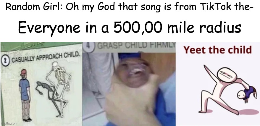 YEET IT! | Random Girl: Oh my God that song is from TikTok the-; Everyone in a 500,00 mile radius | image tagged in casually approach child grasp child firmly yeet the child | made w/ Imgflip meme maker