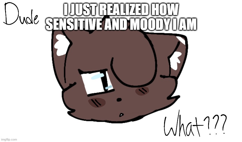 Bruh | I JUST REALIZED HOW SENSITIVE AND MOODY I AM | image tagged in bruh | made w/ Imgflip meme maker