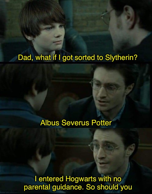 Dad, what if I got sorted to Slytherin? Albus Severus Potter; I entered Hogwarts with no parental guidance. So should you | image tagged in harry potter,slytherin,meme | made w/ Imgflip meme maker