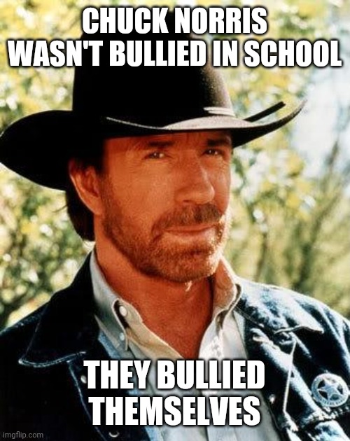 Chuck Norris Meme | CHUCK NORRIS WASN'T BULLIED IN SCHOOL; THEY BULLIED THEMSELVES | image tagged in memes,chuck norris,school,bullies | made w/ Imgflip meme maker