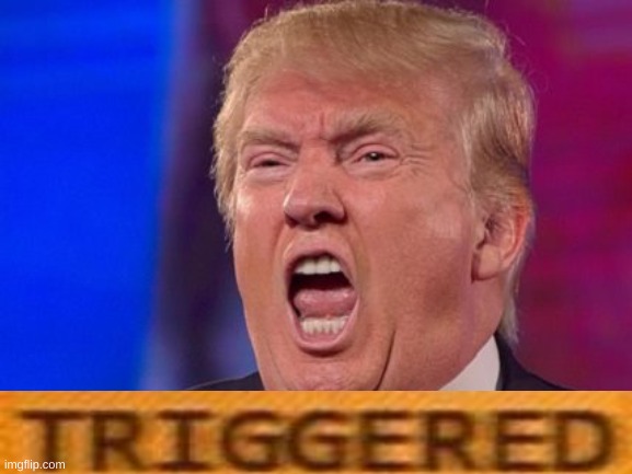 Angry Trump | image tagged in angry trump | made w/ Imgflip meme maker