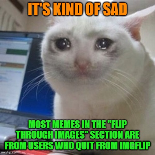 I ran into two users who had made one meme then quit... | IT'S KIND OF SAD; MOST MEMES IN THE "FLIP THROUGH IMAGES" SECTION ARE FROM USERS WHO QUIT FROM IMGFLIP | image tagged in crying cat,memes,it's sad,but true | made w/ Imgflip meme maker