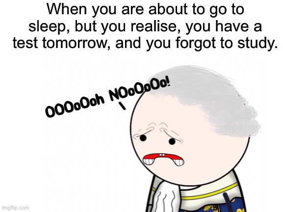 D’oOoOoOh NoOoOoOo |  When you are about to go to sleep, but you realise, you have a test tomorrow, and you forgot to study. | image tagged in school memes,louis xvi,memes,tests,oversimpified,oversimplified memes | made w/ Imgflip meme maker