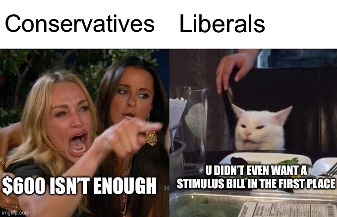 So u don’t want one and when we give u one u say it’s not enough? ? | Conservatives; Liberals; U DIDN’T EVEN WANT A STIMULUS BILL IN THE FIRST PLACE; $600 ISN’T ENOUGH | image tagged in memes,woman yelling at cat,politics | made w/ Imgflip meme maker