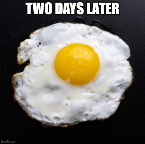 Eggs | TWO DAYS LATER | image tagged in eggs | made w/ Imgflip meme maker