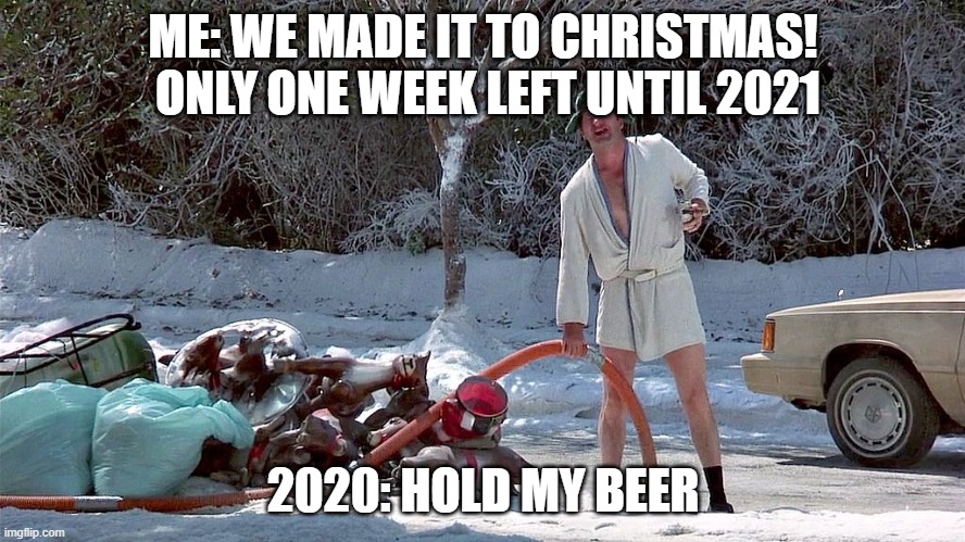Cousin Eddie | ME: WE MADE IT TO CHRISTMAS!  ONLY ONE WEEK LEFT UNTIL 2021; 2020: HOLD MY BEER | image tagged in cousin eddie | made w/ Imgflip meme maker