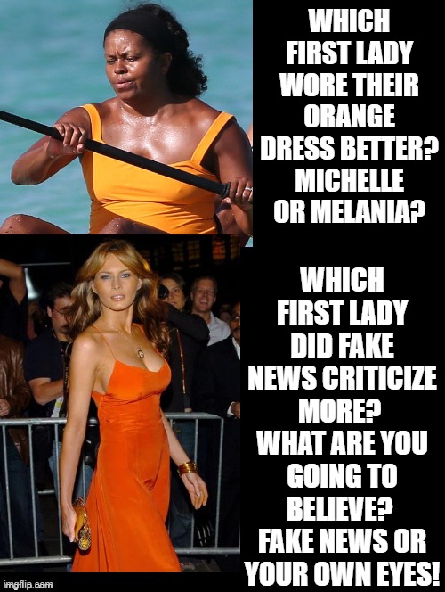 Which First Lady Wore Their Orange Dress Better? | WHICH FIRST LADY WORE THEIR ORANGE DRESS BETTER? MICHELLE OR MELANIA? WHICH FIRST LADY DID FAKE NEWS CRITICIZE MORE?  WHAT ARE YOU GOING TO BELIEVE?  FAKE NEWS OR YOUR OWN EYES! | image tagged in stupid liberals,cnn fake news,michelle obama,melania trump | made w/ Imgflip meme maker