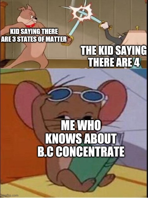 Tom and Spike fighting | KID SAYING THERE ARE 3 STATES OF MATTER; THE KID SAYING THERE ARE 4; ME WHO KNOWS ABOUT B.C CONCENTRATE | image tagged in tom and spike fighting | made w/ Imgflip meme maker