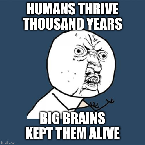 Y U No | HUMANS THRIVE THOUSAND YEARS; BIG BRAINS KEPT THEM ALIVE | image tagged in memes,y u no | made w/ Imgflip meme maker