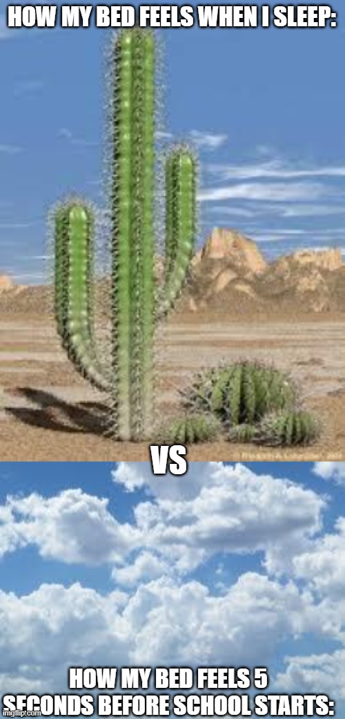 HOW MY BED FEELS WHEN I SLEEP:; VS; HOW MY BED FEELS 5 SECONDS BEFORE SCHOOL STARTS: | image tagged in cactus,clouds | made w/ Imgflip meme maker
