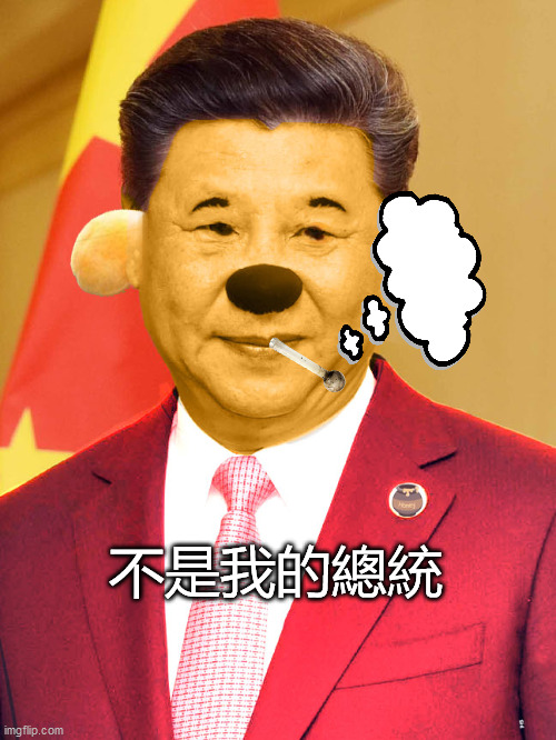 不是我的總統 | image tagged in xi jinping | made w/ Imgflip meme maker