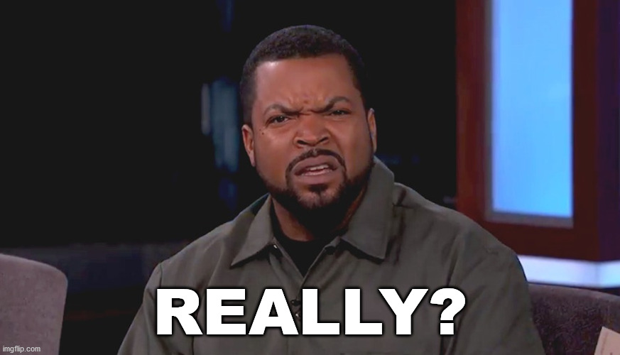 Really? Ice Cube | REALLY? | image tagged in really ice cube | made w/ Imgflip meme maker