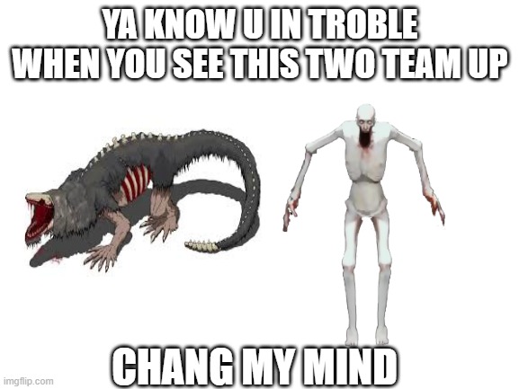 Blank White Template | YA KNOW U IN TROBLE WHEN YOU SEE THIS TWO TEAM UP; CHANG MY MIND | image tagged in blank white template | made w/ Imgflip meme maker