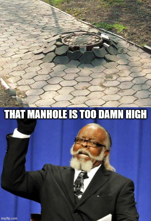 THAT MANHOLE IS TOO DAMN HIGH | image tagged in memes,too damn high | made w/ Imgflip meme maker