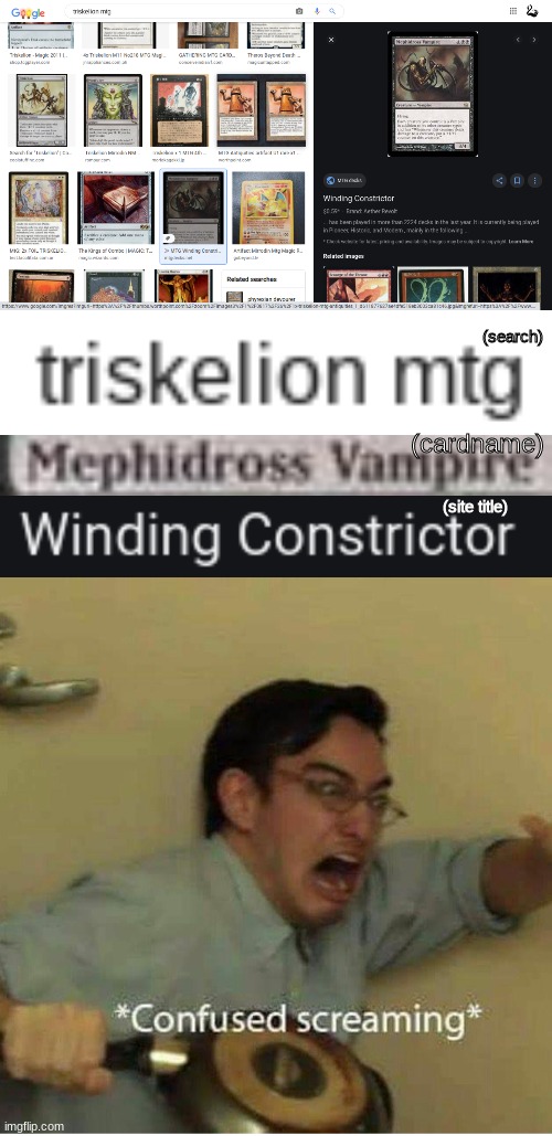 triskeion = mephidross vampire = winding constrictor? | (search); (cardname); (site title) | image tagged in confused screaming,mtg | made w/ Imgflip meme maker