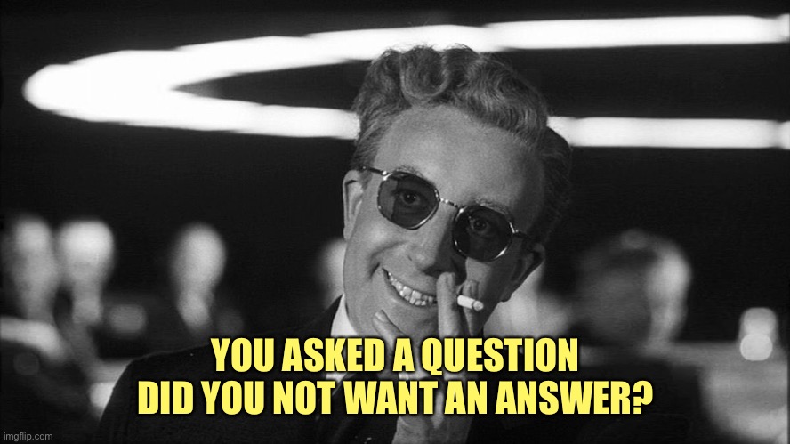 Doctor Strangelove says... | YOU ASKED A QUESTION
DID YOU NOT WANT AN ANSWER? | image tagged in doctor strangelove says | made w/ Imgflip meme maker