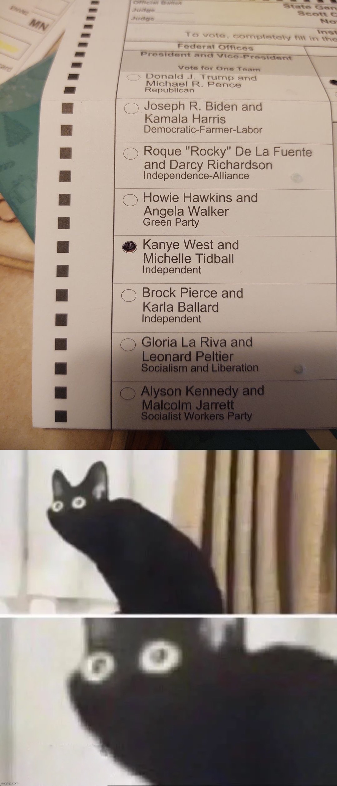 E.g. when they vote for Kanye. | image tagged in kanye west ballot,oh no black cat | made w/ Imgflip meme maker