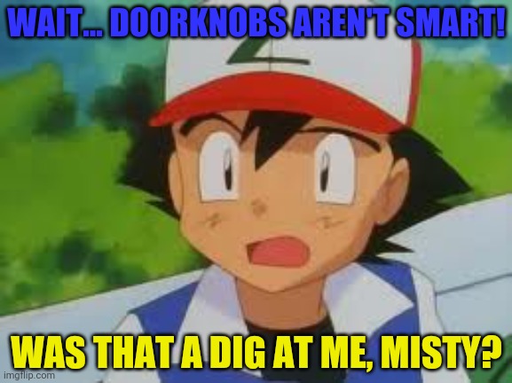 WAIT... DOORKNOBS AREN'T SMART! WAS THAT A DIG AT ME, MISTY? | made w/ Imgflip meme maker