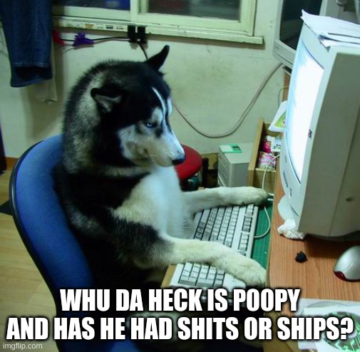 I Have No Idea What I Am Doing Meme | WHU DA HECK IS P00PY AND HAS HE HAD SHITS OR SHIPS? | image tagged in memes,i have no idea what i am doing | made w/ Imgflip meme maker