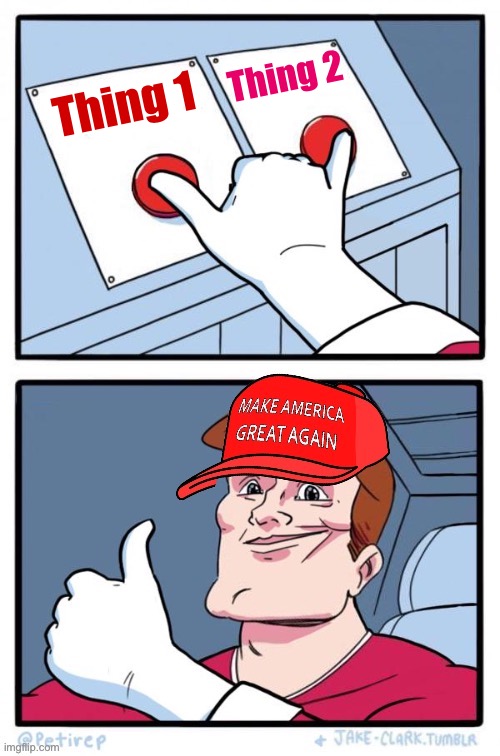 MAGA both buttons pressed | Thing 2; Thing 1 | image tagged in maga two buttons,two buttons,custom template,maga | made w/ Imgflip meme maker
