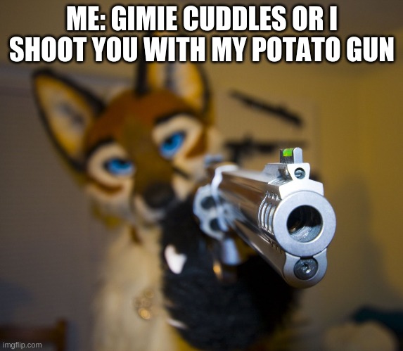 idk | ME: GIMIE CUDDLES OR I SHOOT YOU WITH MY POTATO GUN | image tagged in furry with gun | made w/ Imgflip meme maker