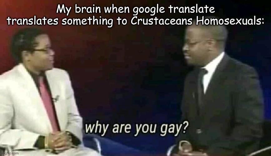 Why are you gay? | My brain when google translate translates something to Crustaceans Homosexuals: | image tagged in why are you gay | made w/ Imgflip meme maker