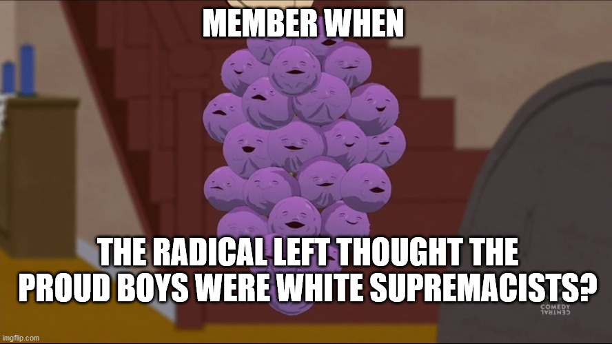 Member Berries | MEMBER WHEN; THE RADICAL LEFT THOUGHT THE PROUD BOYS WERE WHITE SUPREMACISTS? | image tagged in memes,member berries | made w/ Imgflip meme maker