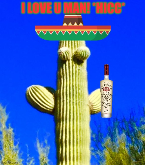 Free cactus huggggs | I LOVE U MAN! *HICC* | image tagged in huggy cactus,free hugs,drunk,cactus,drunk cactus needs morr hugs | made w/ Imgflip meme maker