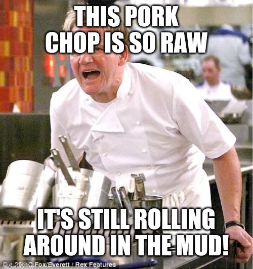 Chef Gordon Ramsay Meme | THIS PORK CHOP IS SO RAW IT'S STILL ROLLING AROUND IN THE MUD! | image tagged in memes,chef gordon ramsay | made w/ Imgflip meme maker