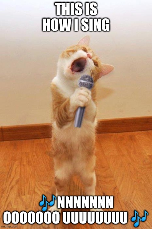 singingcat | THIS IS HOW I SING; 🎶NNNNNNN OOOOOOO UUUUUUUU 🎶 | image tagged in singingcat | made w/ Imgflip meme maker