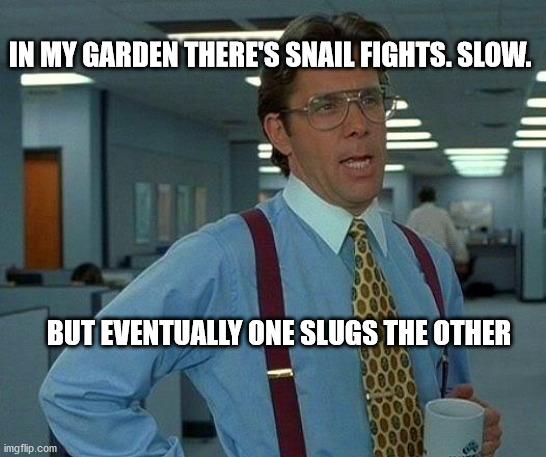 That Would Be Great | IN MY GARDEN THERE'S SNAIL FIGHTS. SLOW. BUT EVENTUALLY ONE SLUGS THE OTHER | image tagged in memes,that would be great | made w/ Imgflip meme maker