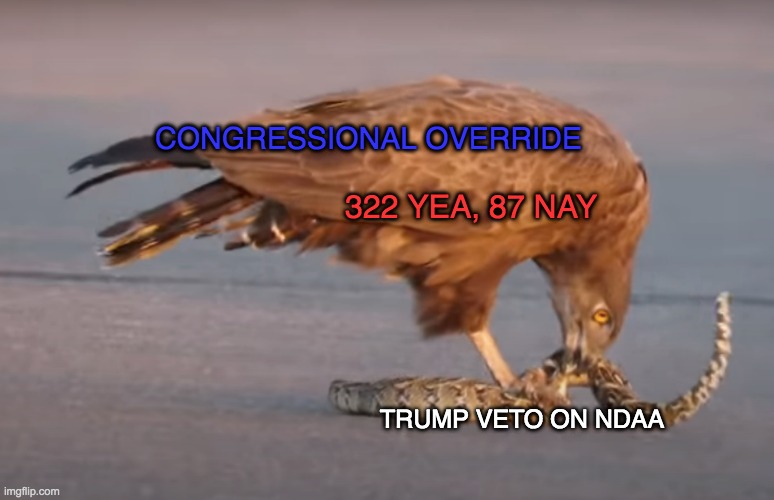 Nice to see Congress use those wings | CONGRESSIONAL OVERRIDE; 322 YEA, 87 NAY; TRUMP VETO ON NDAA | image tagged in election,congress,veto,donald trump | made w/ Imgflip meme maker