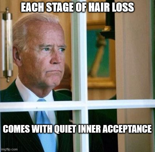 Sad Joe Biden | EACH STAGE OF HAIR LOSS; COMES WITH QUIET INNER ACCEPTANCE | image tagged in sad joe biden | made w/ Imgflip meme maker