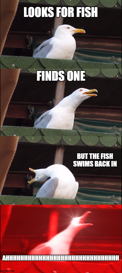 The unlucky seagull | LOOKS FOR FISH; FINDS ONE; BUT THE FISH SWIMS BACK IN; AHHHHHHHHHHHHHHHHHHHHHHHHHHHHHHH | image tagged in memes,inhaling seagull | made w/ Imgflip meme maker