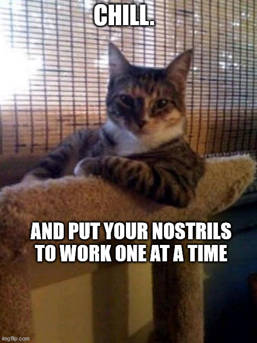 The Most Interesting Cat In The World Meme | CHILL. AND PUT YOUR NOSTRILS TO WORK ONE AT A TIME | image tagged in memes,the most interesting cat in the world | made w/ Imgflip meme maker