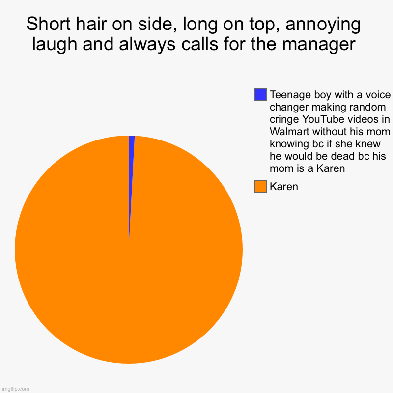 Short hair on side, long on top, annoying laugh and always calls for the manager | Karen, Teenage boy with a voice changer making random cri | image tagged in charts,pie charts | made w/ Imgflip chart maker