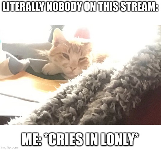 *sad* | LITERALLY NOBODY ON THIS STREAM:; ME: *CRIES IN LONLY* | image tagged in why,does,life,suck,its not fair | made w/ Imgflip meme maker