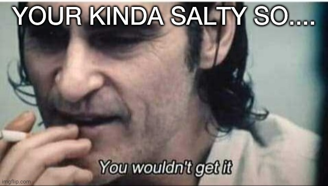 You wouldn't get it | YOUR KINDA SALTY SO.... | image tagged in you wouldn't get it | made w/ Imgflip meme maker