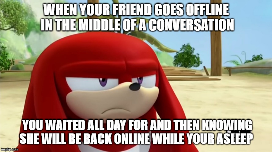 this is true and im tired | WHEN YOUR FRIEND GOES OFFLINE  IN THE MIDDLE OF A CONVERSATION; YOU WAITED ALL DAY FOR AND THEN KNOWING SHE WILL BE BACK ONLINE WHILE YOUR ASLEEP | image tagged in knuckles is not impressed - sonic boom,relatable | made w/ Imgflip meme maker