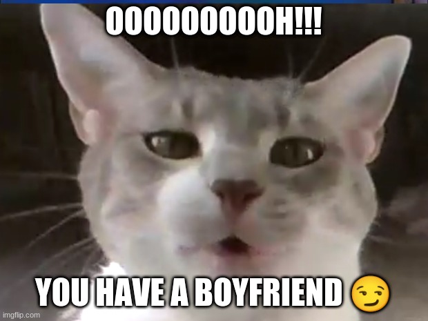 cat sayin OOH! | OOOOOOOOOH!!! YOU HAVE A BOYFRIEND 😏 | image tagged in memes | made w/ Imgflip meme maker