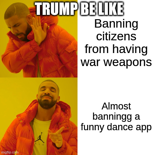 Why should tiktok be banned? | TRUMP BE LIKE; Banning citizens from having war weapons; Almost banningg a funny dance app | image tagged in memes,drake hotline bling,funny,donald trump,politics,trump | made w/ Imgflip meme maker