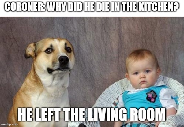 *dies after exiting* | CORONER: WHY DID HE DIE IN THE KITCHEN? HE LEFT THE LIVING ROOM | image tagged in dad joke dog | made w/ Imgflip meme maker